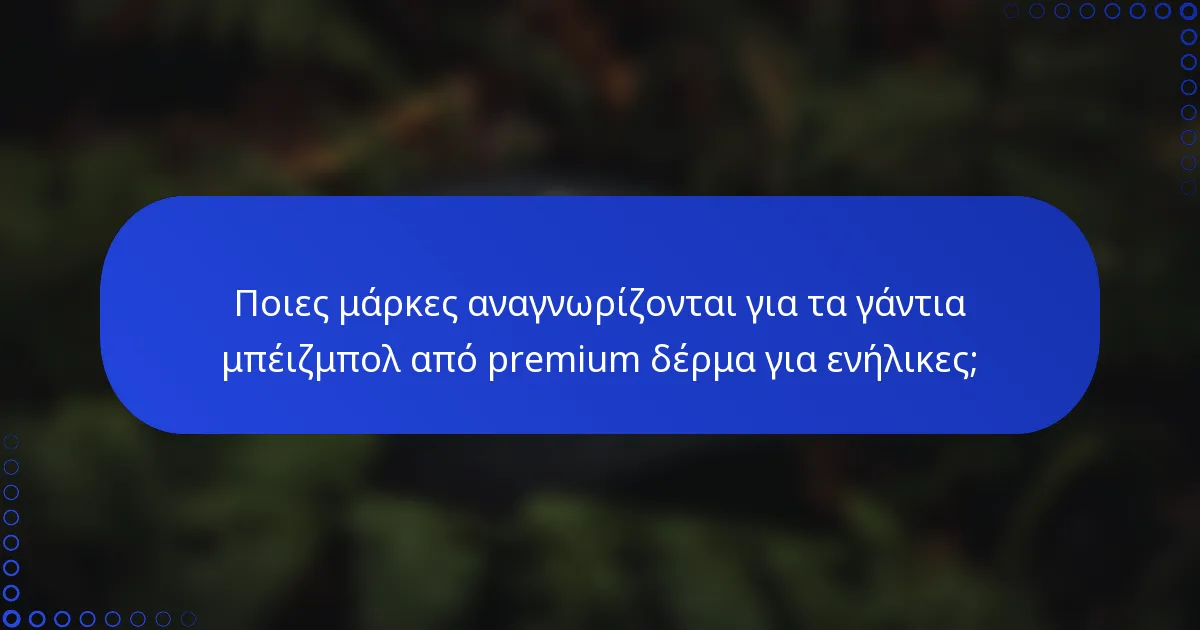Ποιες μάρκες αναγνωρίζονται για τα γάντια μπέιζμπολ από premium δέρμα για ενήλικες;